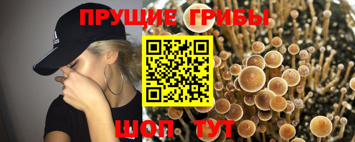 Псилоцибиновые грибы Magic Shrooms Йошкар-Ола