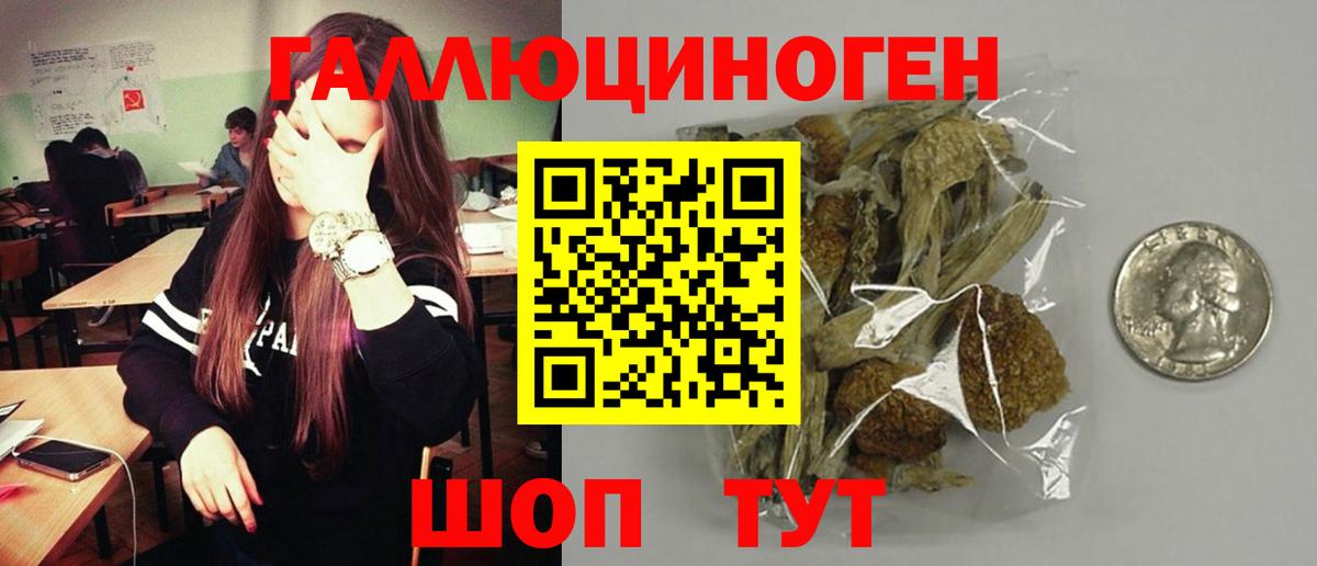 Псилоцибиновые грибы мицелий  Вход с VPN  Галлюциногенные грибы Cubensis  Йошкар-Ола 